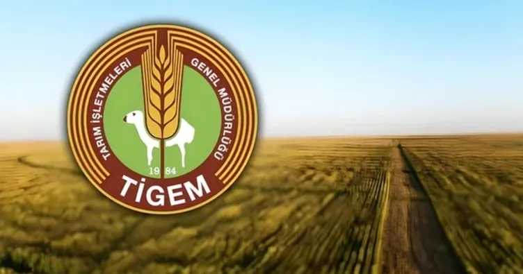 TİGEM ihaleyle 732 ton yem ham maddeleri alacak