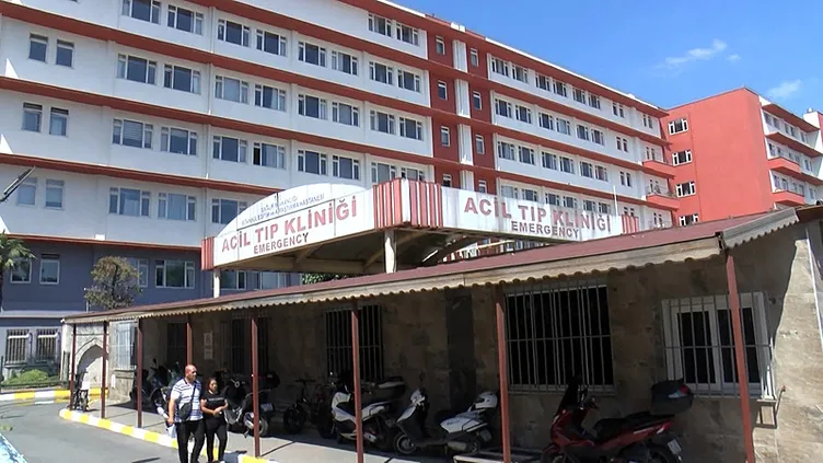 İstanbul Fatih’te başıboş köpekler tarafından öldürülen Ayhan Özçelik’in raporu ortaya çıktı! Vahşette kan donduran detaylar...