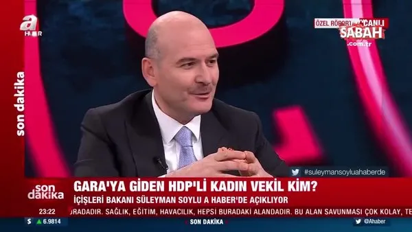 Bakan Soylu açıkladı: Gara'ya giden HDP'li kadın vekil kim? | Video