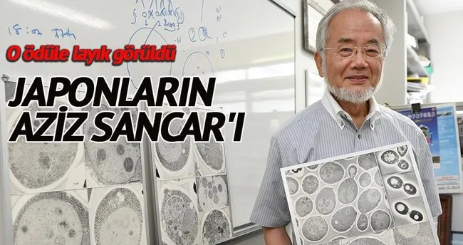 ‘Nobel Tıp’ Japon hücre biyoloğuna