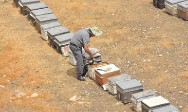 Devlet desteğiyle kovan sayısını 500’e çıkardı #siirt