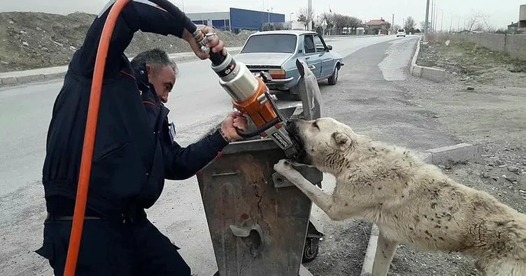 Erzincan’da çöp kutusuna ayağı sıkışan köpeği itfaiye kurtardı