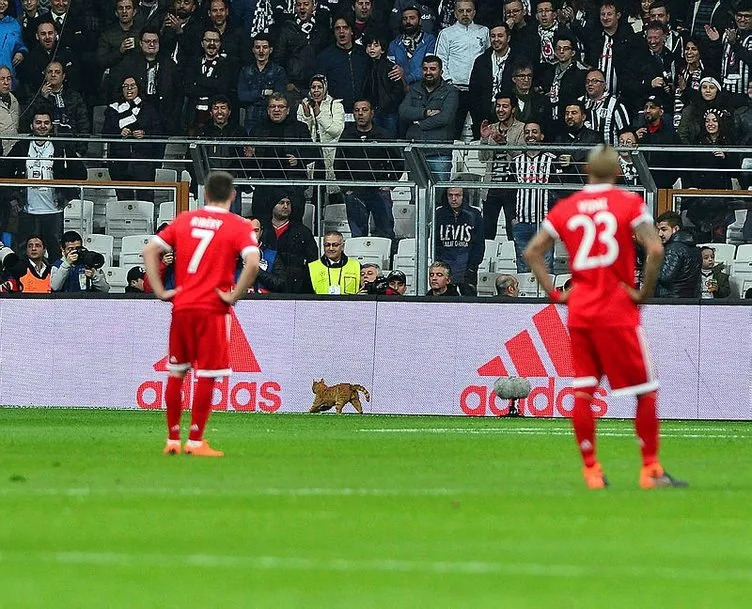 Beşiktaş-Bayern Münih maçında davetsiz misafir