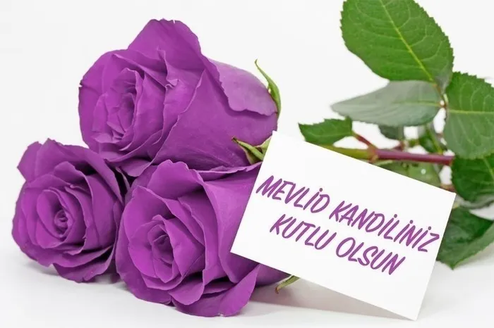 Mevlid Kandili mesajları ve sözleri! 2020 Kısa, Uzun Kandil mesajları ve Resimli Mevlid Kandil mesajı