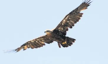 Yörük, saatte 60 km hızla Çad’a uçtu