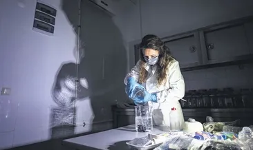 Denizlerin plastik savaşçıları