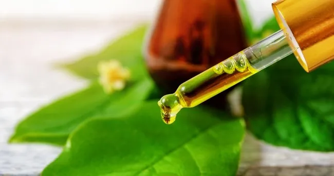 Çay Ağacı Kremi Faydaları Nelerdir? Çay Ağacı Kremi Sivilce İçin Kullanılır Mı?