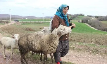 Dağların 60’lık Heidi’si Kamile teyze! Yaşına aldırış etmeden çobanlık yapıyor