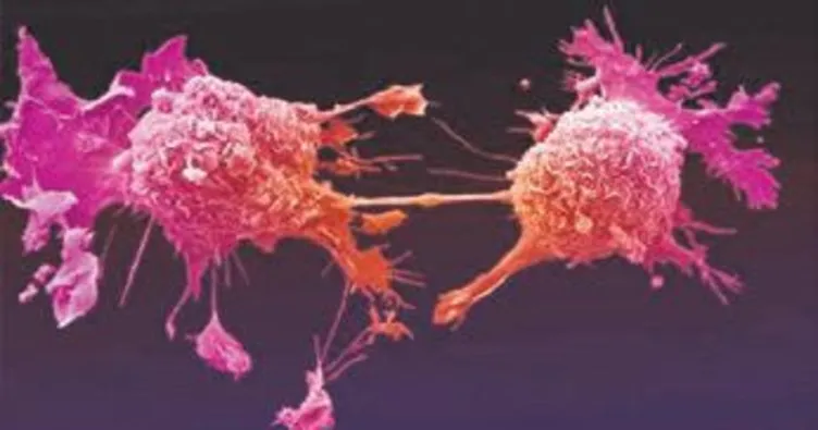 Avrupa’da bakteri krizi yayılıyor