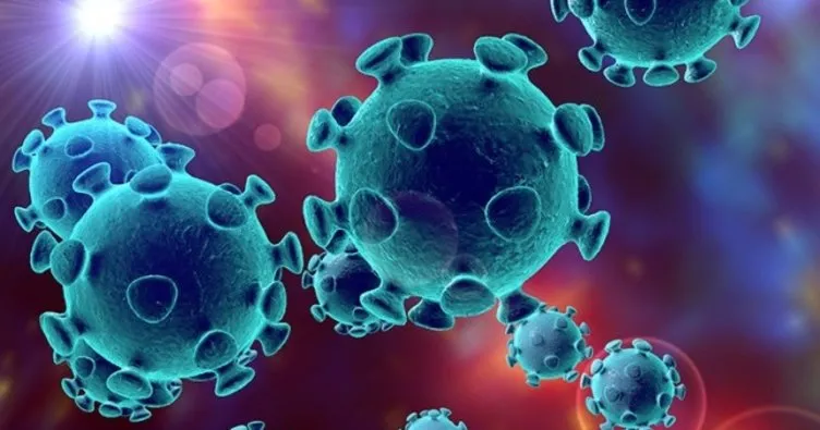ABD’de yeni tip koronavirüs vakalarının sayısı 5’e yükseldi!