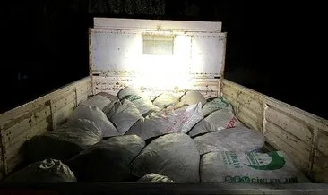 Van’da kaçak avlanan 4,8 ton inci kefali balığı ele geçirildi