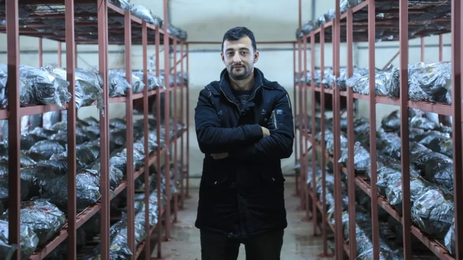 Istanbul Dan Dondugu Koyunde Istiridye Mantari Yetistiriyor Galeri Ekonomide Bugun