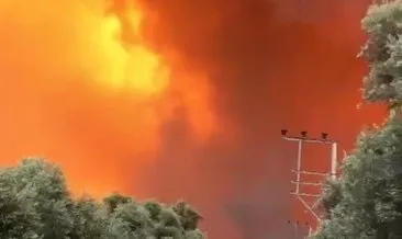 Alevlerden kaçış; 1500 kişi tahliye edildi