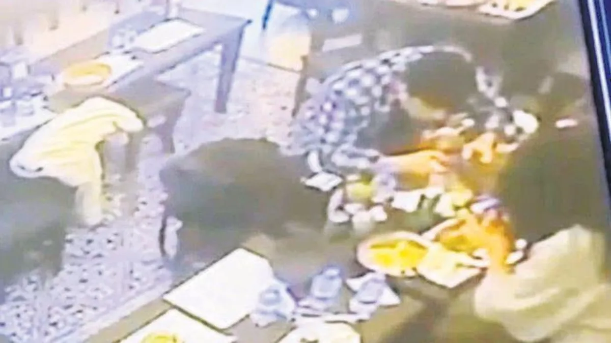 Yemek yerken dudağını böcek ısırdı