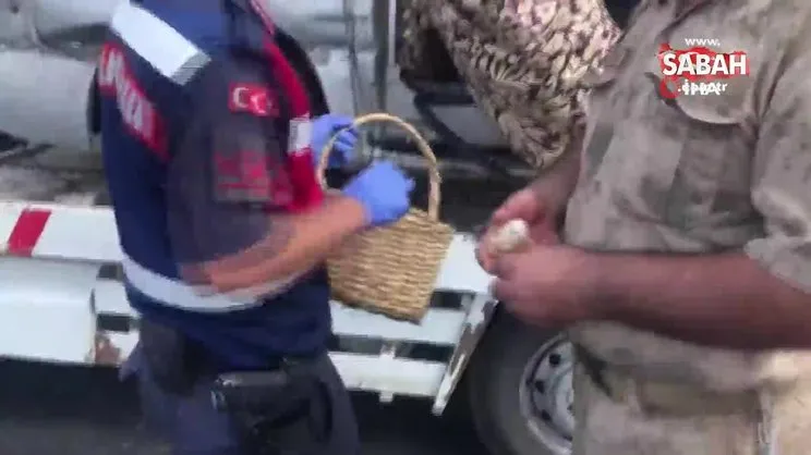Civcivleri satmak için yola çıktılar, kazada kapısı sökülen araçtan düşerek hayatlarını kaybettiler