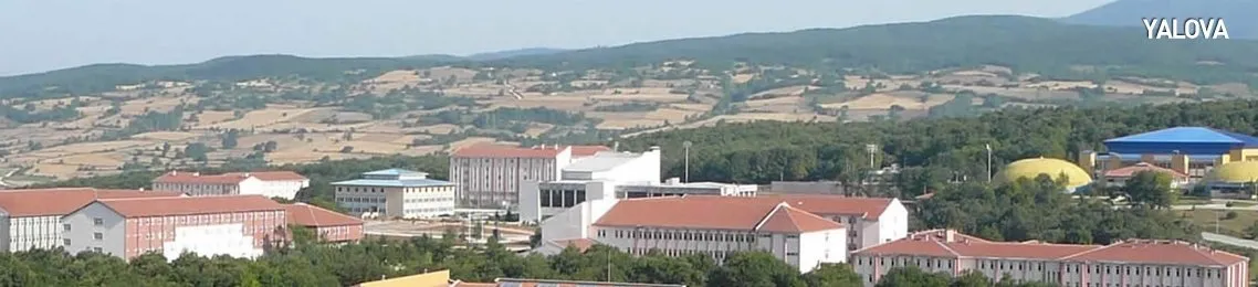 son dakika yalova haberleri
