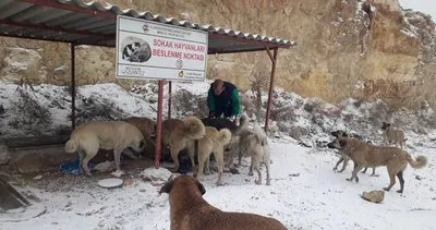 Gaziantep’e yılın ilk karı yağdı #gaziantep Gaziantep’e yılın ilk karı yağdı #gaziantep