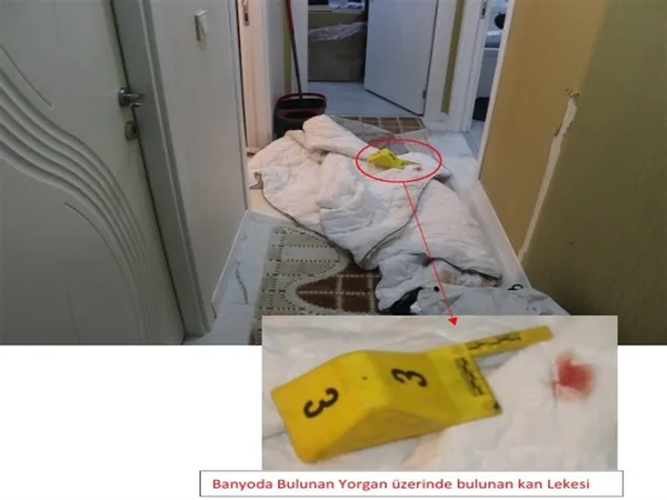 ejegul-davasinda-yeni-gelisme-olay-yerinde-kesif-karari-ayse-tokyazin-ikizi-tanik-olarak-dinlenecek-1792158806579.jpg