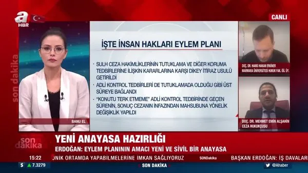 İşte Cumhurbaşkanı Erdoğan'ın açıkladığı İnsan Hakları Eylem Planı'nın detayları... | Video