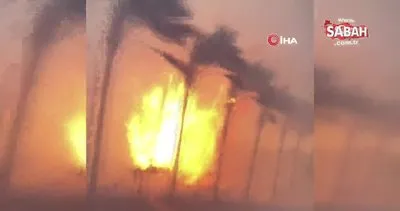 Hawaii’deki orman yangınlarında can kaybı 53’e yükseldi | Video