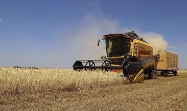 Tarımsal girdi fiyat endeksi açıklandı