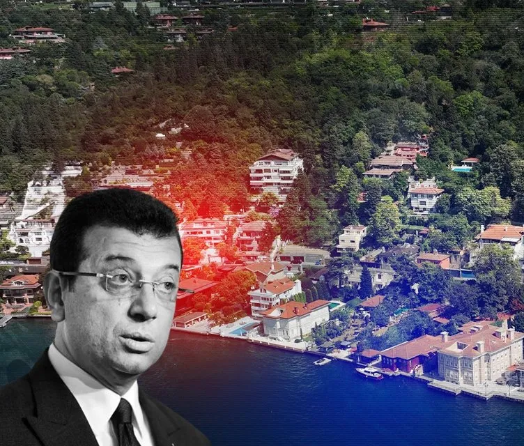 Vaniköy’deki skandalda yeni detay! Ağaç katliamı İBB’nin Basit Onarım Belgesi üzerinden yapılmış