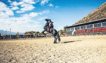 Anadolu’nun en büyük at çiftliği Kayseri’de