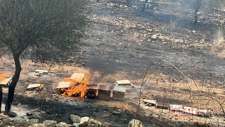 Muğla’daki faciaya sebep olup, tutuklanmışlardı: Baba-oğul yangını bakın nasıl çıkarmış! İfadeleri pes dedirtti
