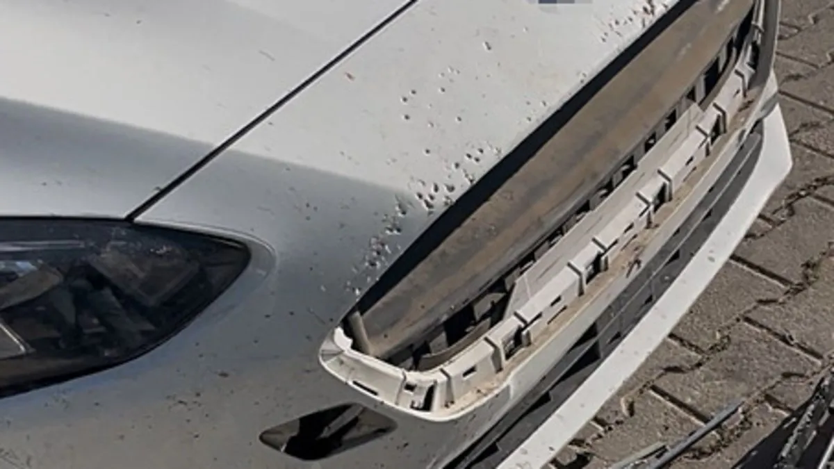 Sivas’ta sokak köpekleri ilçenin kabusu oldu: Dişleriyle 108 bin TL’lik zarar verdiler! Sivas’ta sokak köpekleri ilçenin kabusu oldu: Dişleriyle 108 bin TL’lik zarar verdiler!