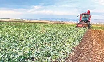 Türkiye’nin arz güvenliğinde sorun yok