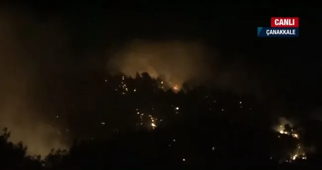 Son dakika: Çanakkale'de orman yangını