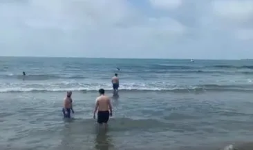 Kocaeli’de, denizde kayıp ihbarı ekipleri harekete geçirdi #kocaeli