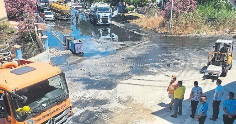 Çeşme’deki rezalete Bakanlık el koydu
