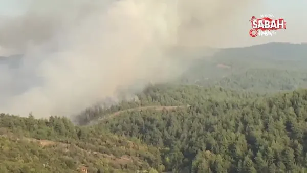 Bursa'nın Orhaneli ilçesinde orman yangını | Video