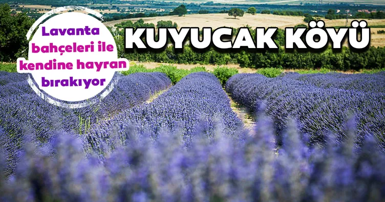 Kuyucak artık çok popüler