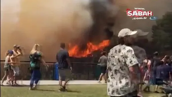Griffith Park’ta yangın çıktı