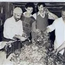 Rize Çay Fabrikası açıldı