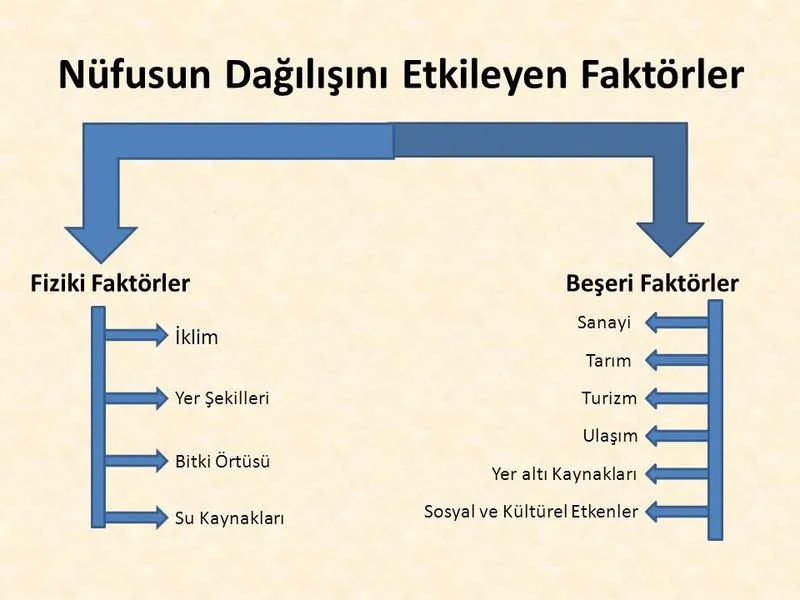 Nufusun Dagilisini Etkileyen Faktorler Nelerdir Egitim Haberleri
