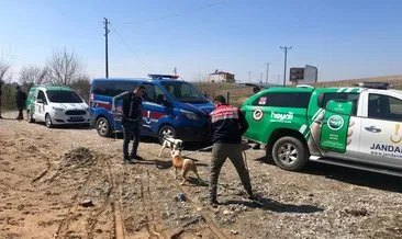 Yasaklı ırk köpek sahiplerine ceza yağdı #batman Yasaklı ırk köpek sahiplerine ceza yağdı #batman