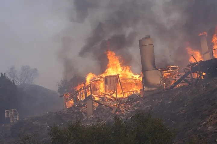 SON DAKİKA | Alevler Los Angeles’i yutuyor! ABD’de Hollywood yıldızlarına felaket öfkesi