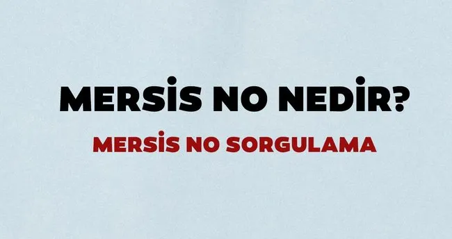sorgulama 2020 mersis no nedir