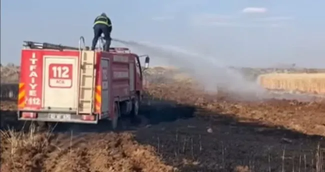 Şanlıurfa’da buğday tarlası küle döndü