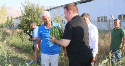 Uçak Mühendisi olan Uysal, kurduğu serada Erzincan ekonomisine katma değer sağlıyor #erzincan
