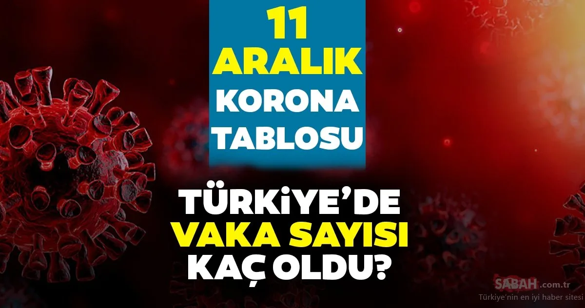11 aralik koronavirus tablosu verileri nasil bakan fahrettin koca son dakika acikladi 1 11 aralik korona tablosu ile bugunku turkiye vaka vefat verileri galeri yasam 11 aralik koronavirus tablosu verileri nasil bakan fahrettin koca son dakika acikladi 1 11 aralik korona tablosu ile bugunku turkiye vaka vefat verileri galeri yasam