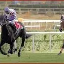 66. Cumhurbaşkanlığı Koşusu’nu kazandı