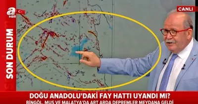 Son dakika haberi: Muş, Bingöl, Malatya’da arat arda depremler! Fay hatları uyandı mı? İstanbul Derpemi’ni tetikler mi? | Video