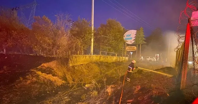 Diyarbakır’da kundaklama! Ormanlık alanı ateşe veren 3 kişi yakalandı