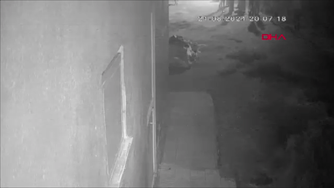 Narin Güran cinayetinde yeni görüntüler ortaya çıktı: Bulamayınca kendini yere fırlattı!