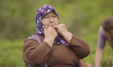 Acil Korunması Gerekenler listesine girdi #giresun Acil Korunması Gerekenler listesine girdi #giresun