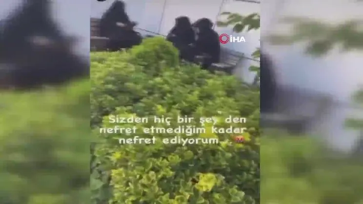 Çarşaflı kadınlara yönelik ‘nefret’ dolu paylaşım hakkında soruşturma | Video